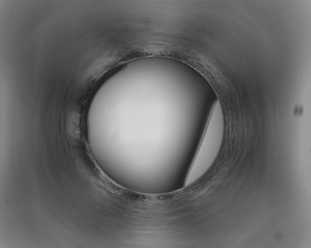 X0000091490696200708161210