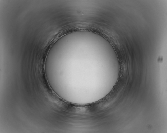 X0000091490698200708161210