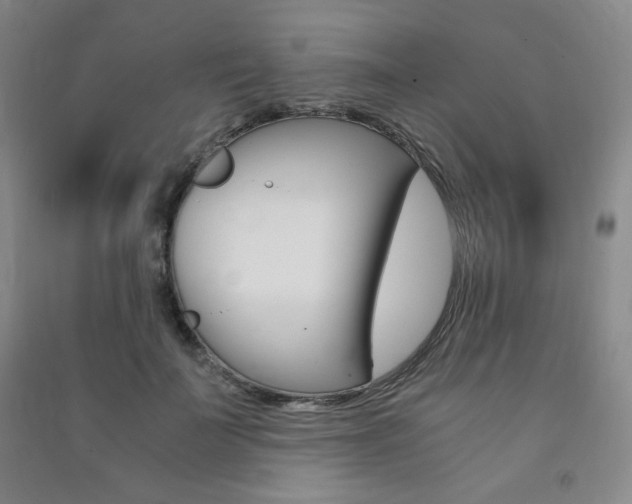 X0000091490699200708161210