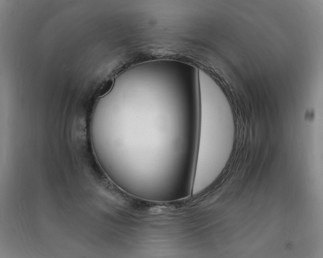 X0000091490700200708161210