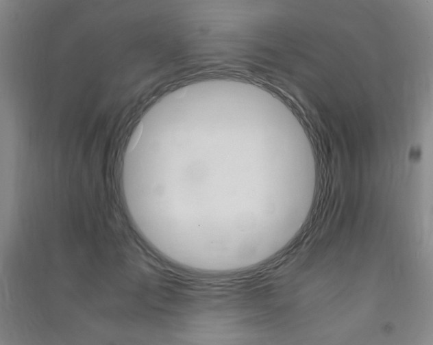 X0000091490701200708161210