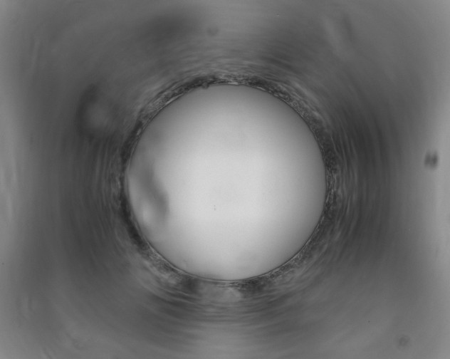 X0000091490702200708161210