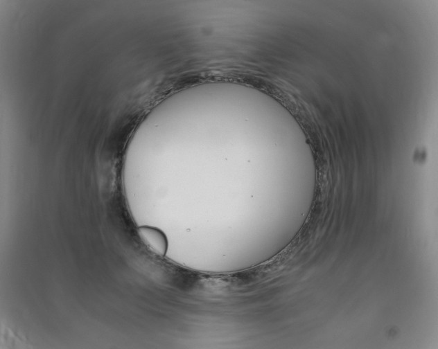 X0000091490703200708161210