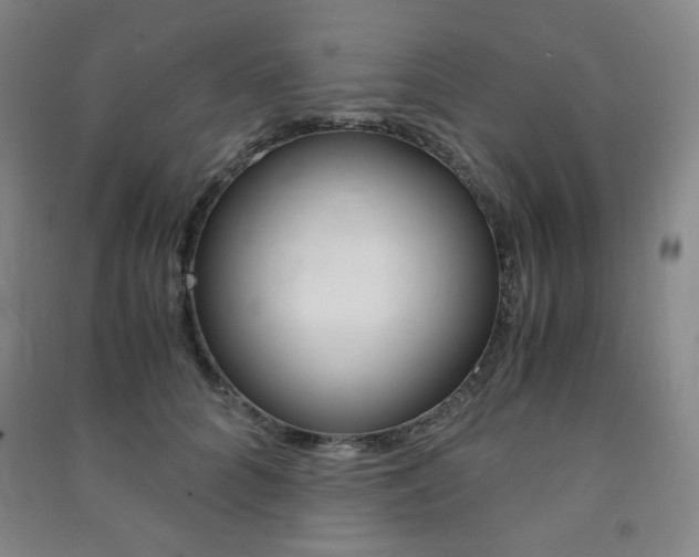 X0000091490704200708161210