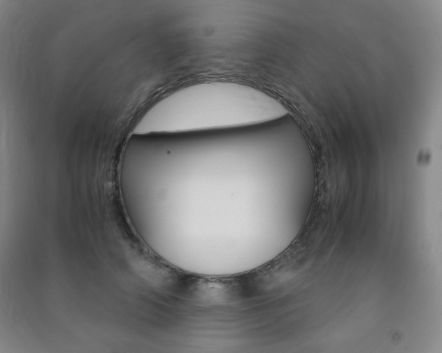 X0000091490706200708161210