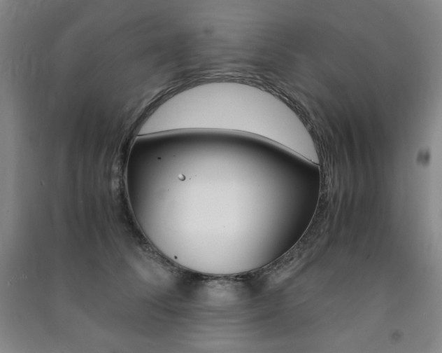 X0000091490708200708161210