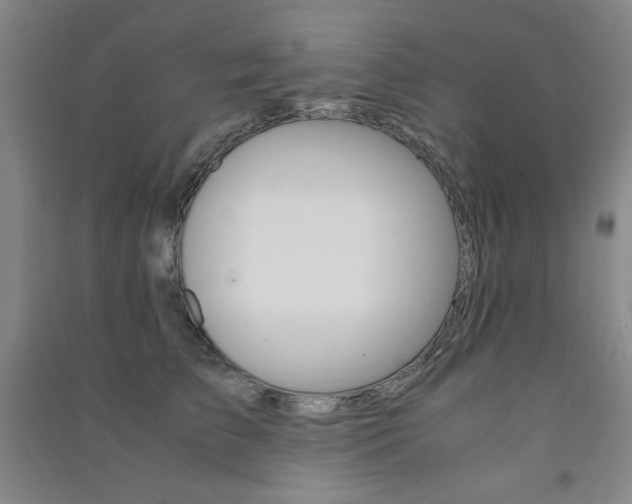 X0000091490709200708161210