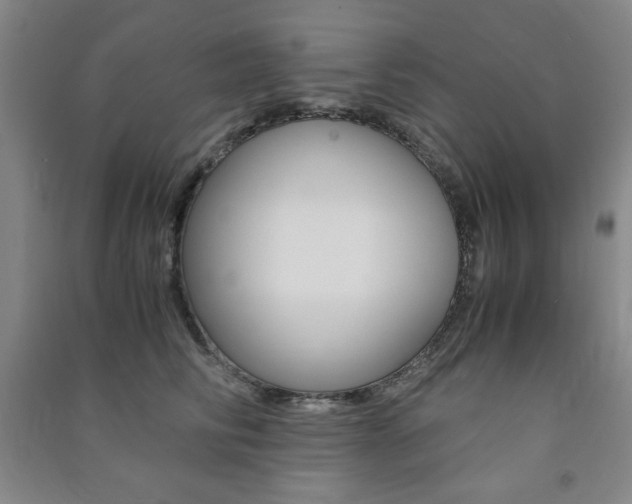 X0000091490710200708161210