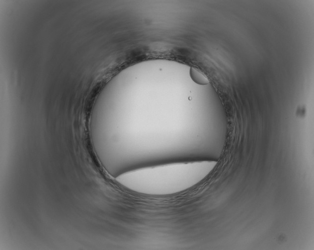 X0000091490711200708161210