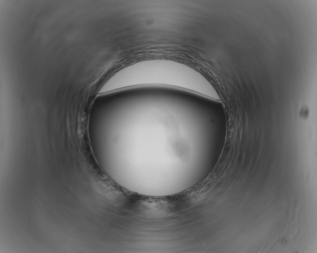 X0000091490712200708161210