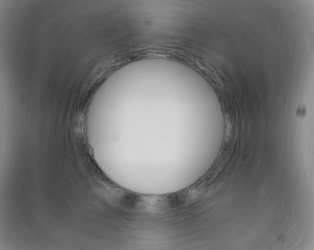 X0000091490713200708161210