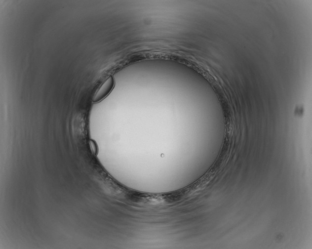 X0000091490715200708161210