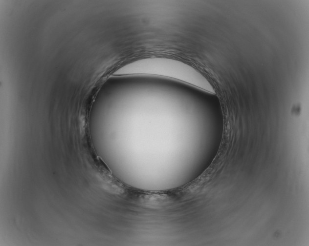 X0000091490716200708161210