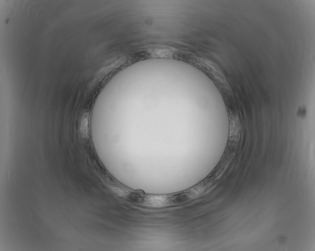 X0000091490717200708161210