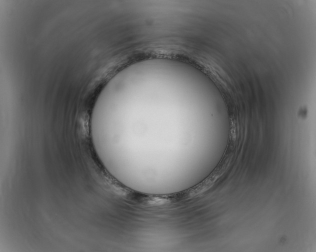 X0000091490718200708161210