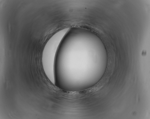 X0000091490720200708161210