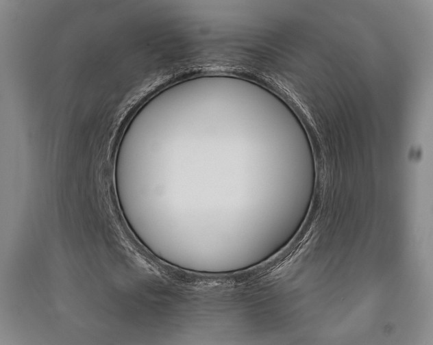 X0000091490721200708161209