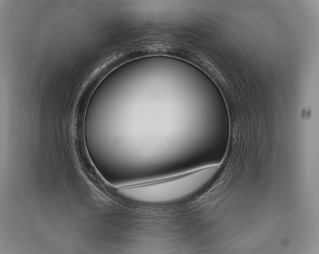 X0000091490722200708161209