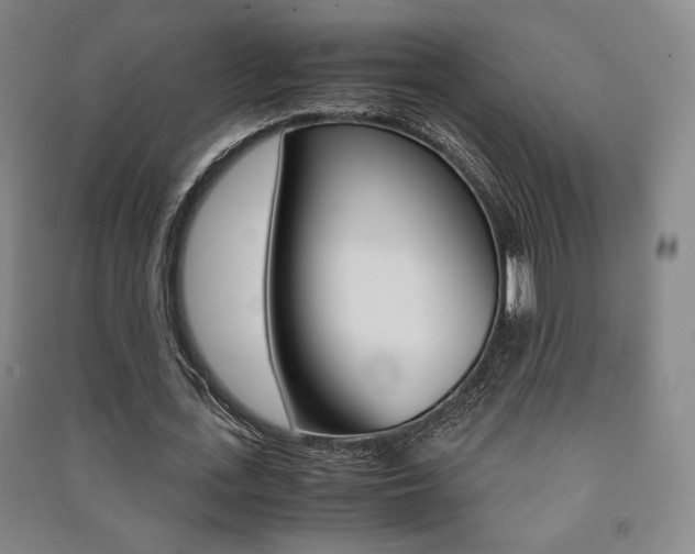 X0000091490723200708161209