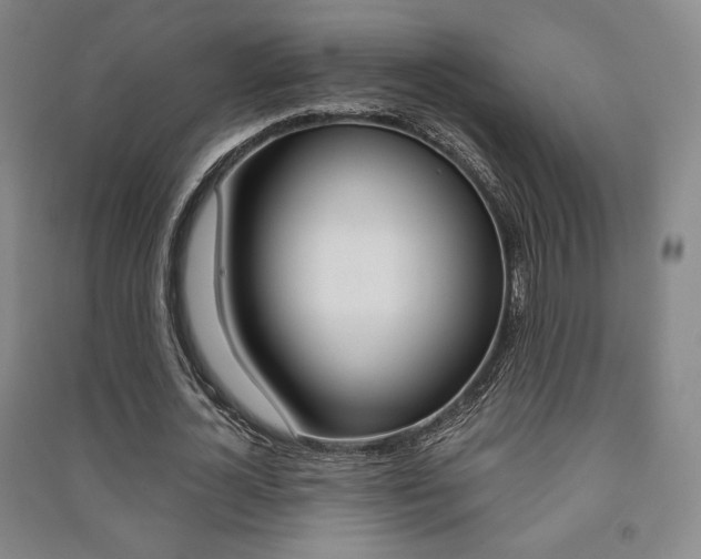 X0000091490724200708161209