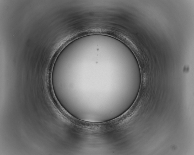 X0000091490725200708161209