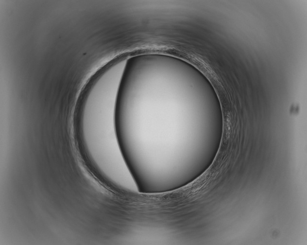 X0000091490726200708161210