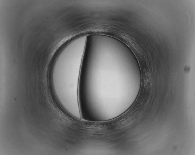 X0000091490727200708161210
