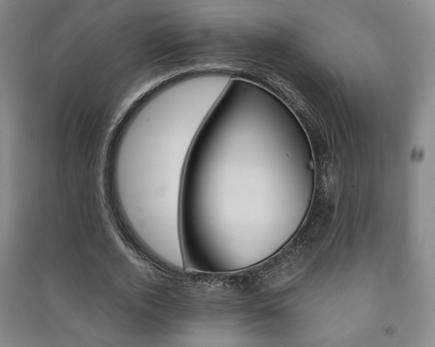 X0000091490728200708161210
