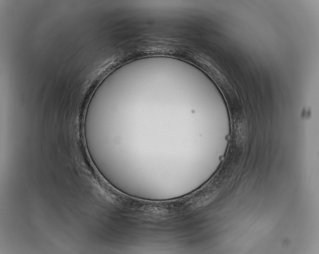 X0000091490729200708161210