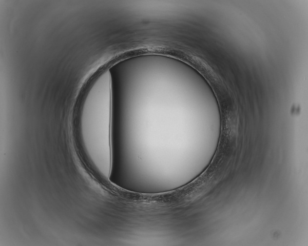 X0000091490730200708161210