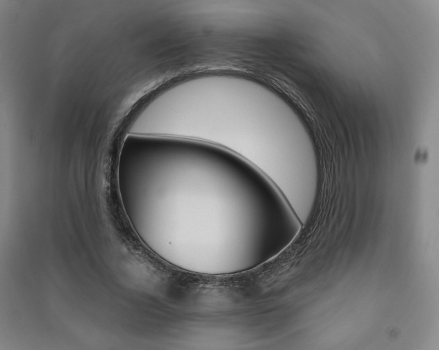 X0000091490732200708161210