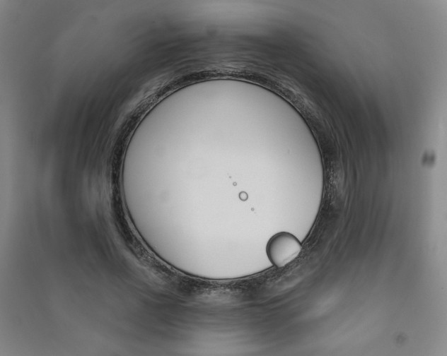 X0000091490734200708161210