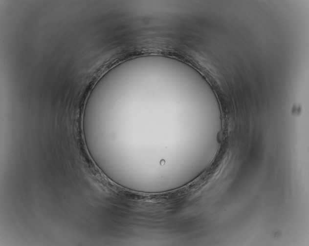 X0000091490737200708161210