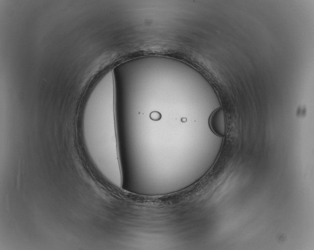 X0000091490738200708161210