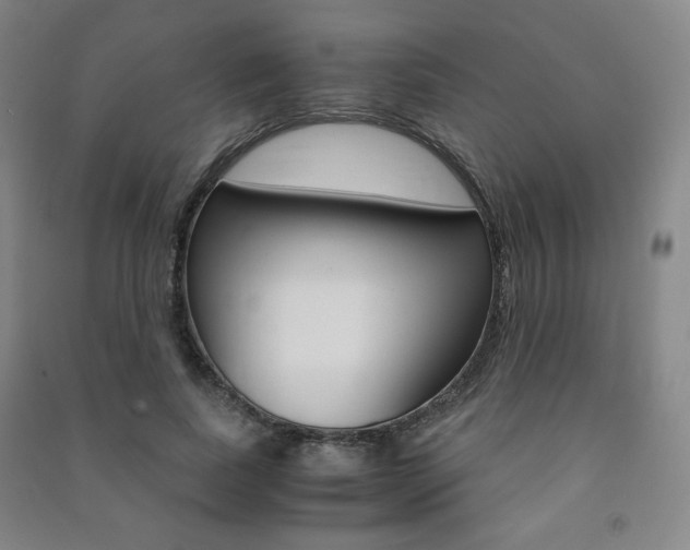 X0000091490739200708161210