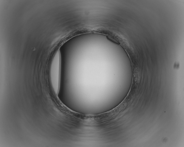X0000091490740200708161210