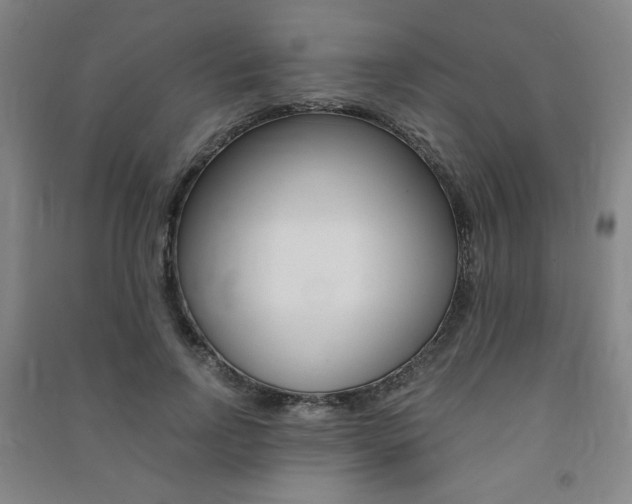 X0000091490742200708161210