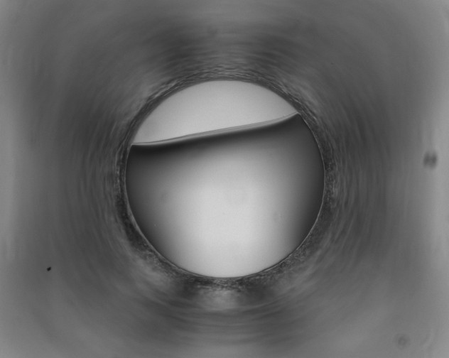 X0000091490743200708161210