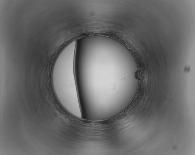 X0000091490746200708161210