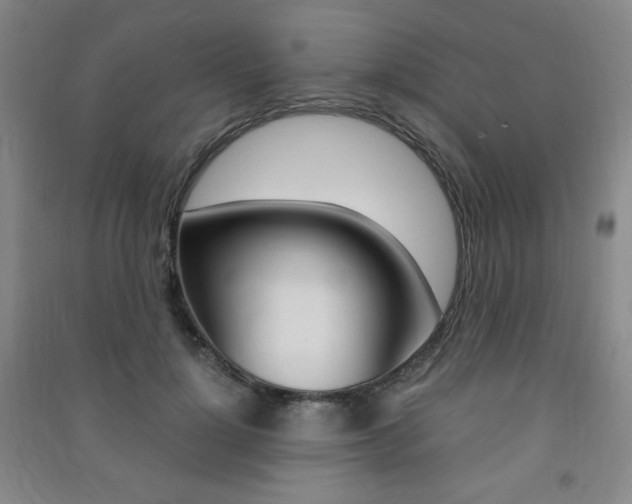 X0000091490748200708161210