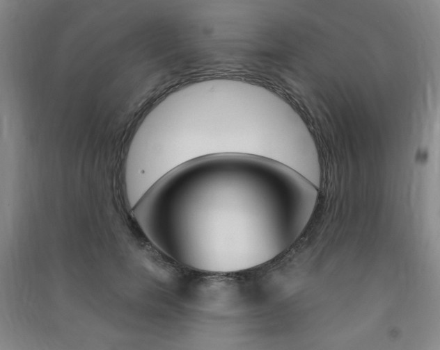 X0000091490750200708161210