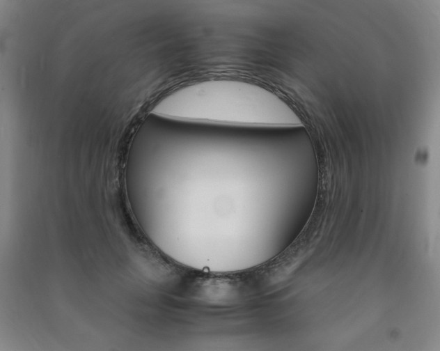 X0000091490751200708161210