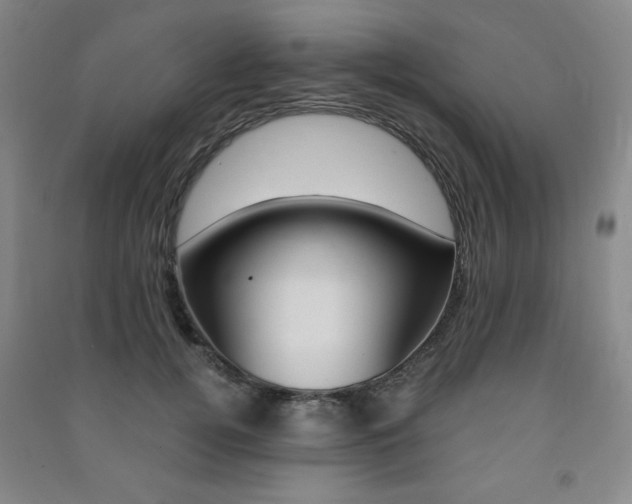 X0000091490752200708161210
