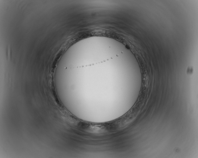 X0000091490753200708161210