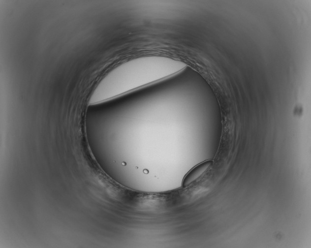 X0000091490754200708161210
