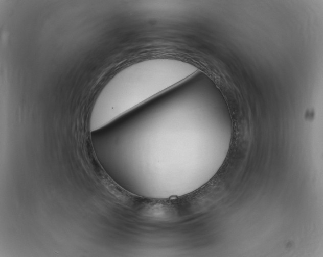 X0000091490755200708161210