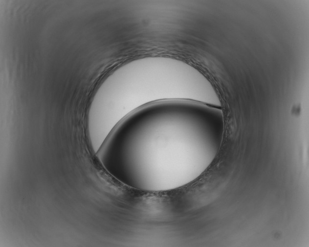 X0000091490756200708161210