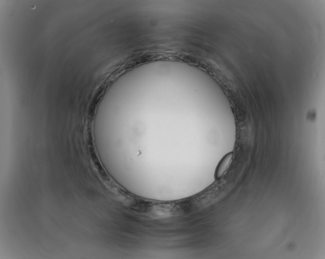 X0000091490757200708161210