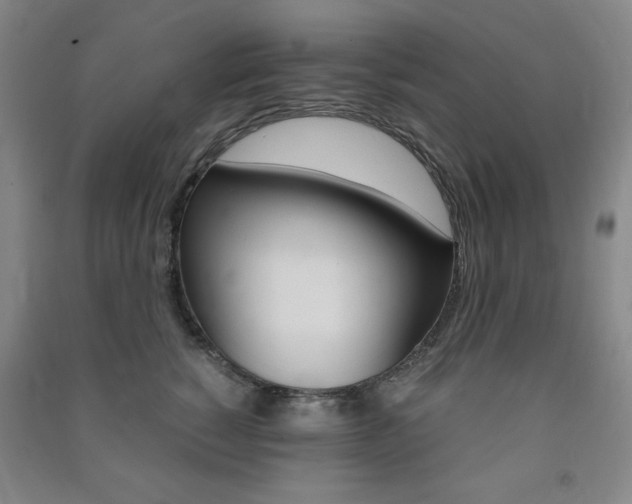X0000091490760200708161210