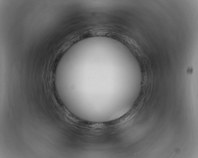 X0000091490761200708161210